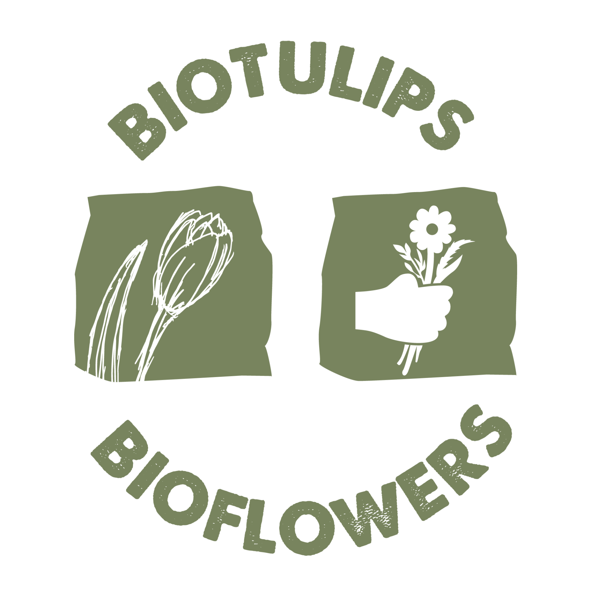 BioTulips en BioFlowers Toldijk