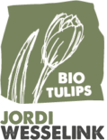 Jordi Wesselink Bio Tulips staand